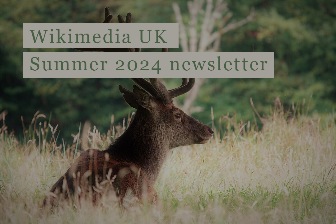 A stag sitting in beige grass, with full antlers. There are green trees in the background.