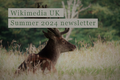Thumbnail for version as of 15:13, 16 July 2024