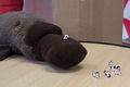 Thumbnail for version as of 16:18, 6 January 2014