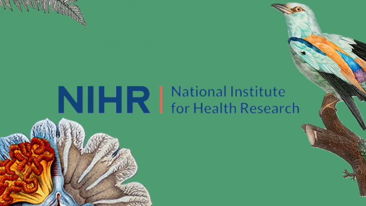 National Institute of Health Research logo