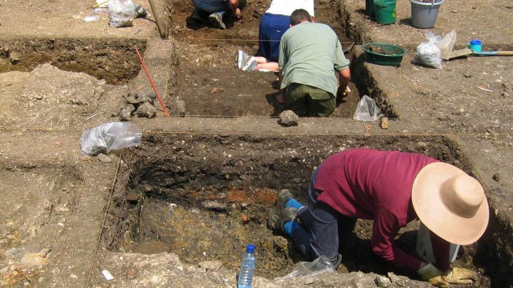 Four people digging in two trenches, surrounded by buckets, find bags, and water bottles.