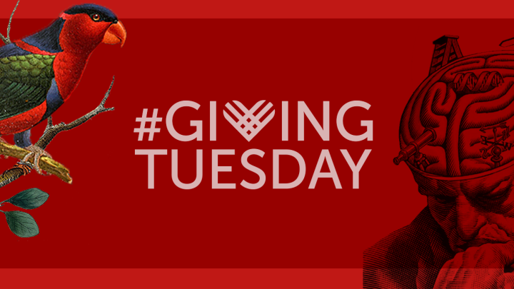Giving Tuesday logo banner