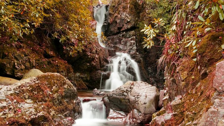 Photograph of a waterfall and autumn trees in Tollymore Forest Park.