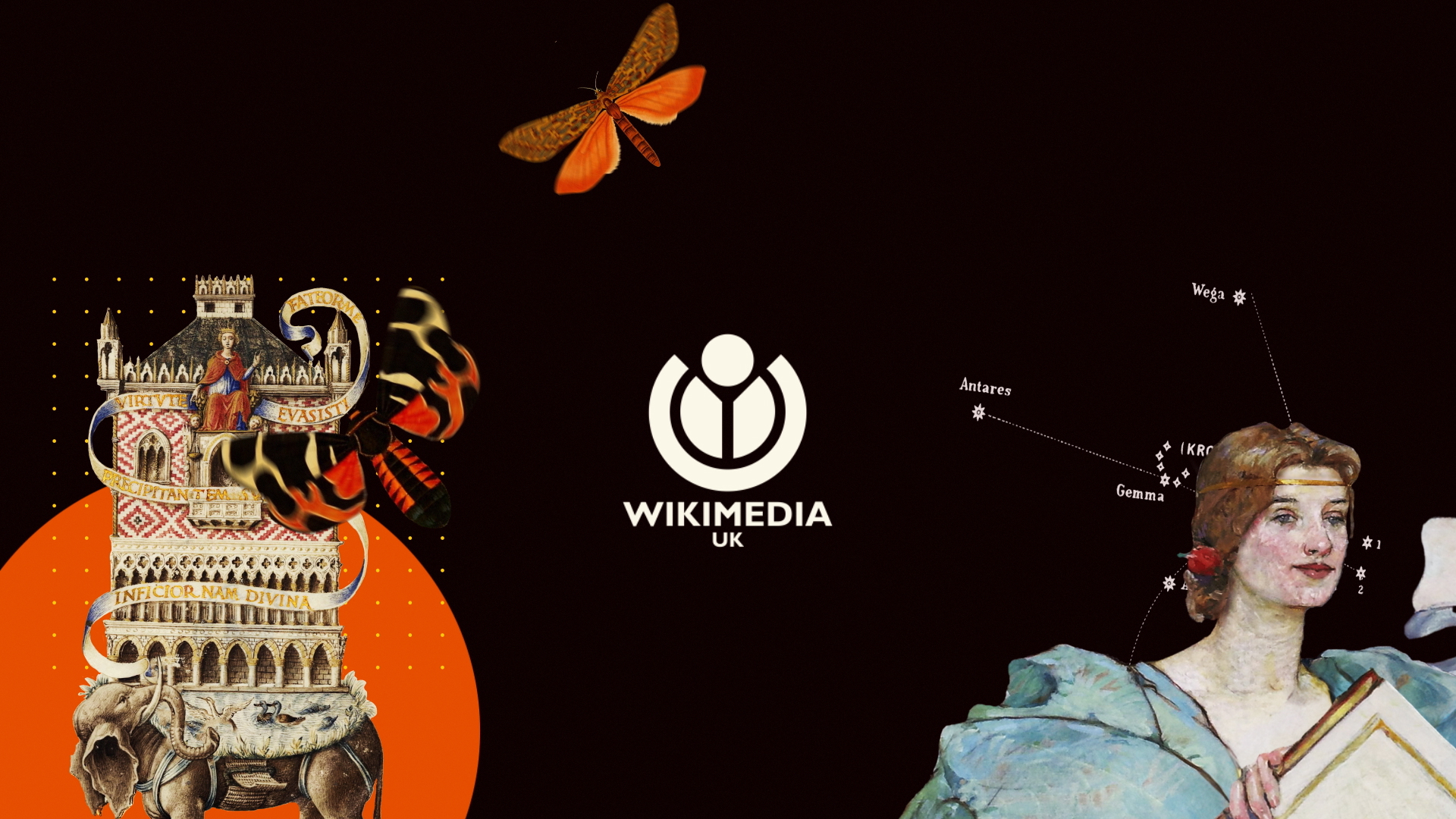 Still from the introduction to Wikimedia UK animation. Featuring the WMUK logo in white with images from Wikimedia Commons including a fantastical illustration of an elephant carrying a building on its back, illustrations of butterflies and a portrait painting of a woman in a blue dress.